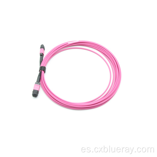 Cable de parche MPO MTP